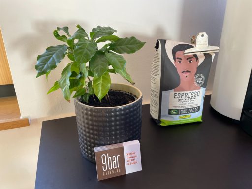 Bio-Zutaten bilden die Grundlage